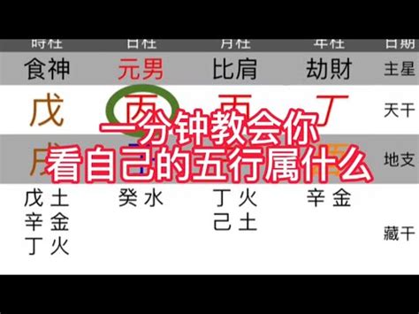 屬性金|免費生辰八字五行屬性查詢、算命、分析命盤喜用神、喜忌